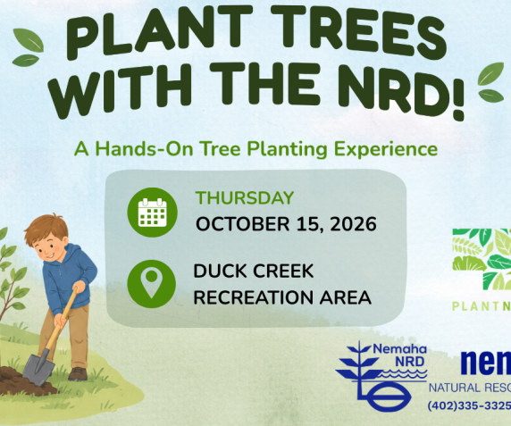 Duck Creek Plant Trees October 2026