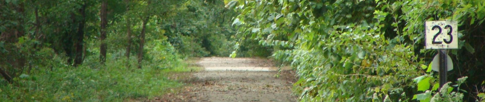 Steam boat trace