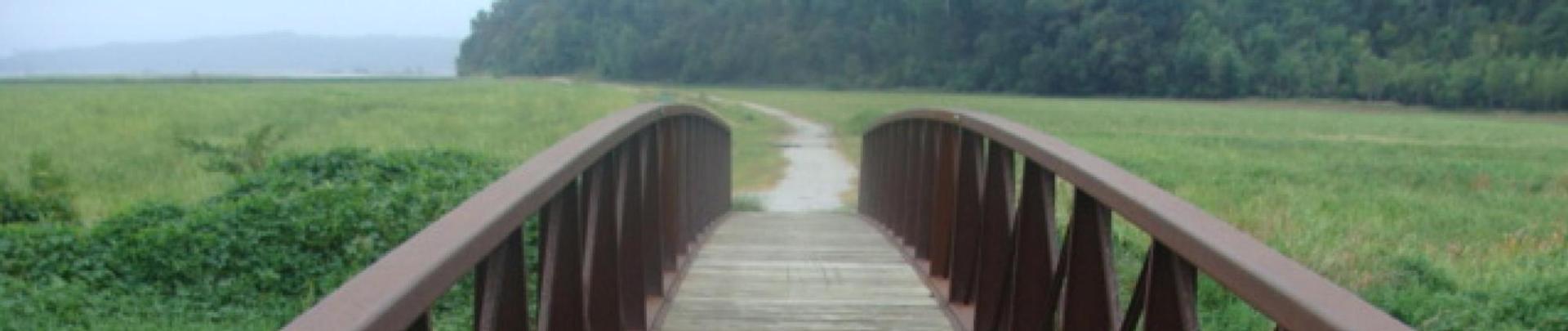 Steam boat trace