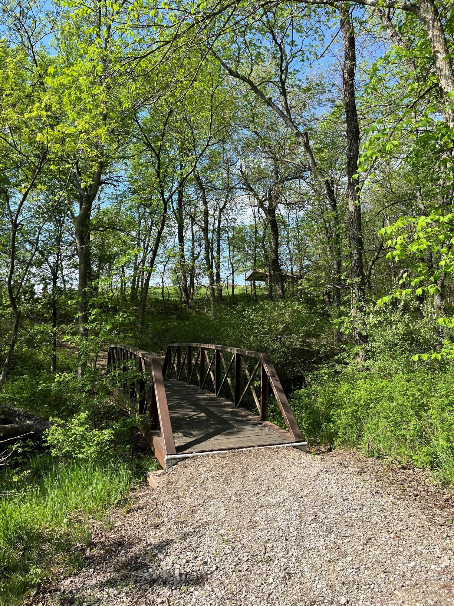 Iron Horse Trail Bridge