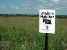 Conservation Wild Site