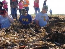 2018 Area Land Judging