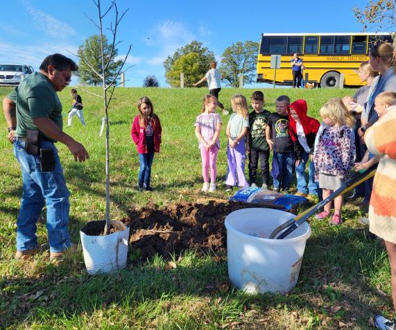 Tree Planting