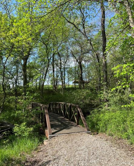 Trail Bridge 