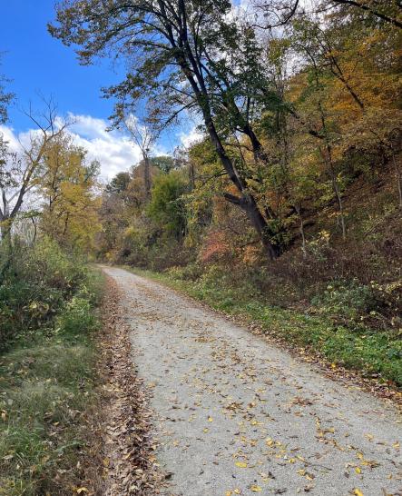 Steamboat Trace Trail in Fall