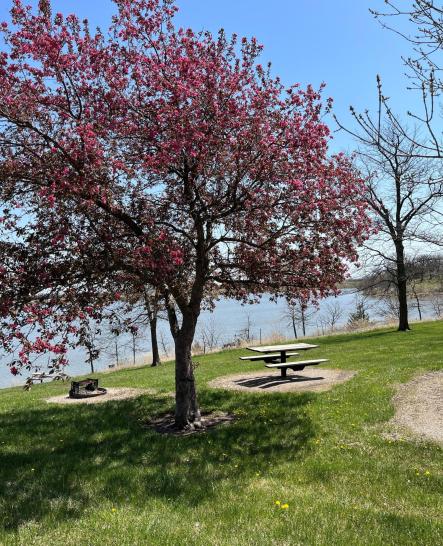 Kirkman's Cove Spring Photo