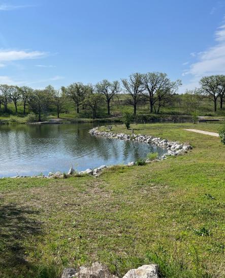 Iron Horse Lake View